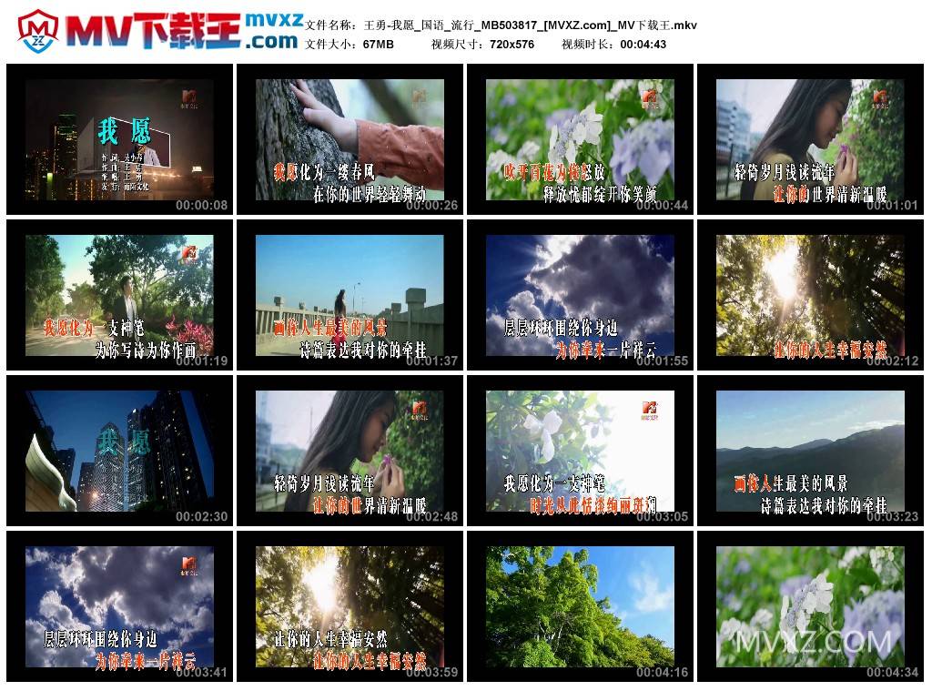 王勇-我愿_国语_流行_MB503817